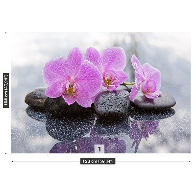 Fototapet Orchid Stones