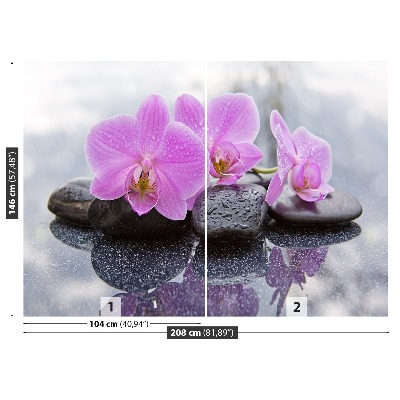 Fototapet Orchid Stones