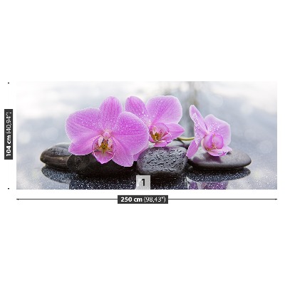 Fototapet Orchid Stones