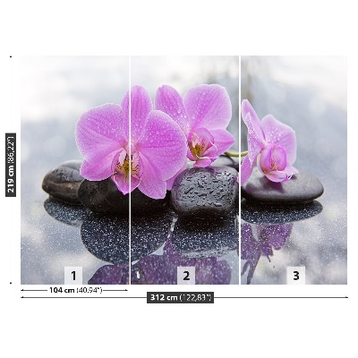 Fototapet Orchid Stones