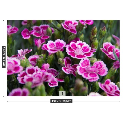 Fototapet Lyserøde blomster