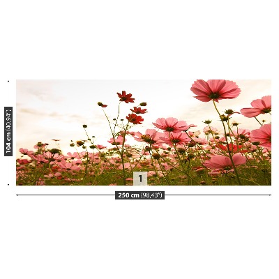 Foto tapet Blomster Cosmos