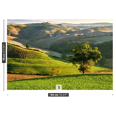 Foto tapet Toscana