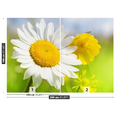 Fototapet Kamilleblomster