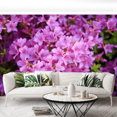 Foto tapet Lyserød rhododendron