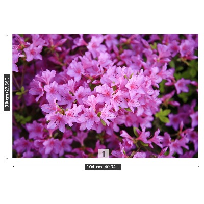 Foto tapet Lyserød rhododendron