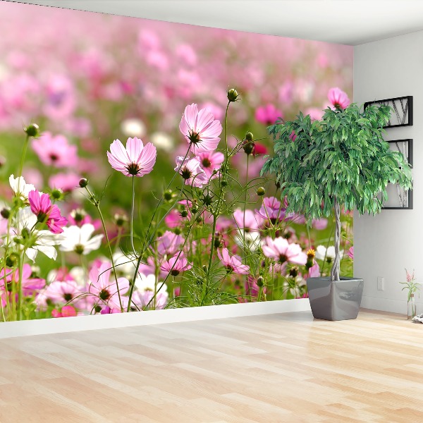 Foto tapet Cosmos blomster