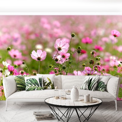 Foto tapet Cosmos blomster