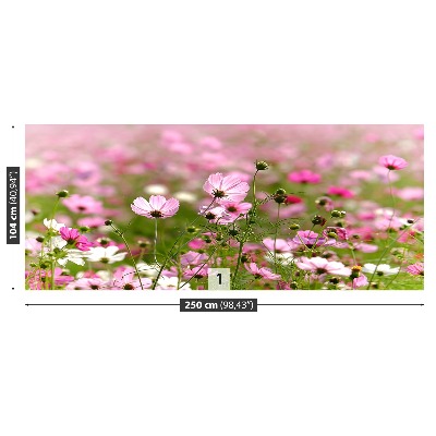 Foto tapet Cosmos blomster