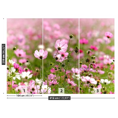 Foto tapet Cosmos blomster