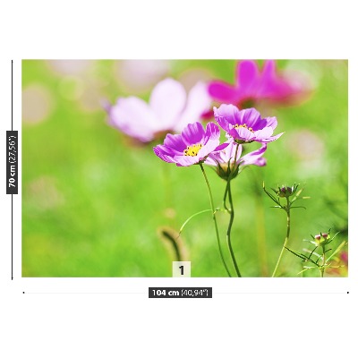 Fototapet Cosmos Violet