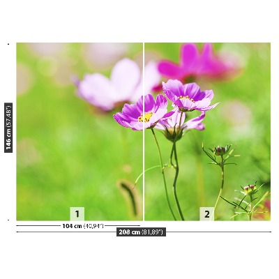 Fototapet Cosmos Violet