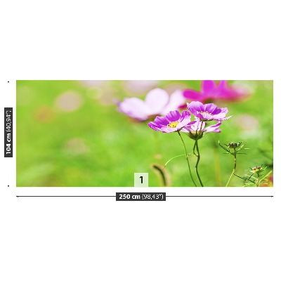 Fototapet Cosmos Violet