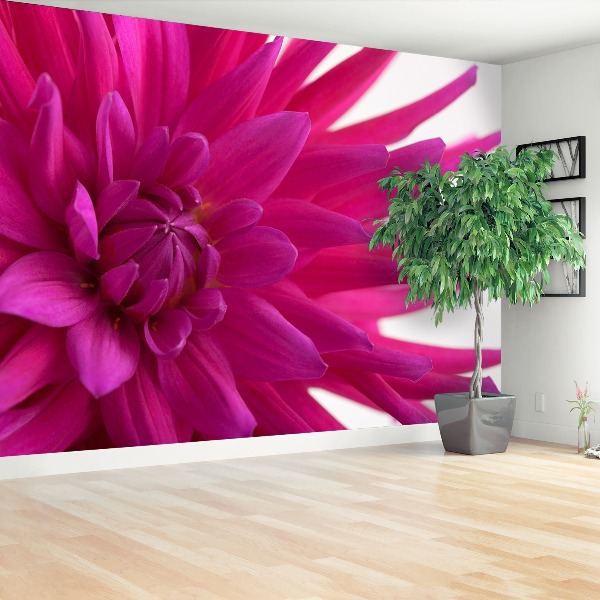 Fototapet Dahlia Pink