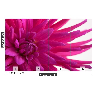 Fototapet Dahlia Pink