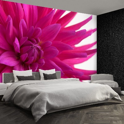 Fototapet Dahlia Pink