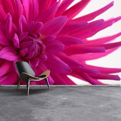 Fototapet Dahlia Pink