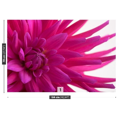 Fototapet Dahlia Pink