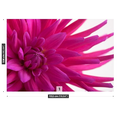 Fototapet Dahlia Pink