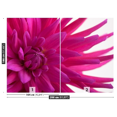 Fototapet Dahlia Pink