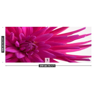 Fototapet Dahlia Pink