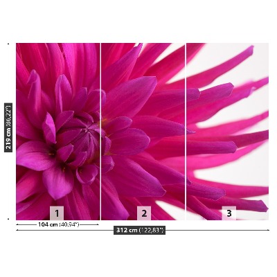 Fototapet Dahlia Pink