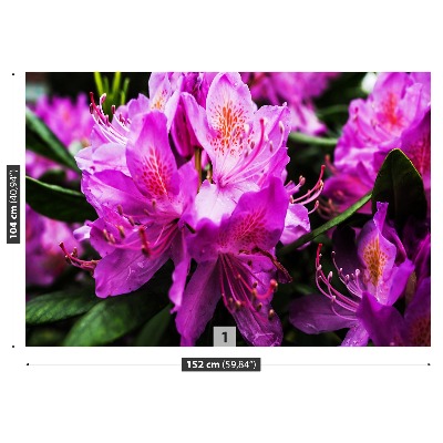 Fototapet Blomster Lilla