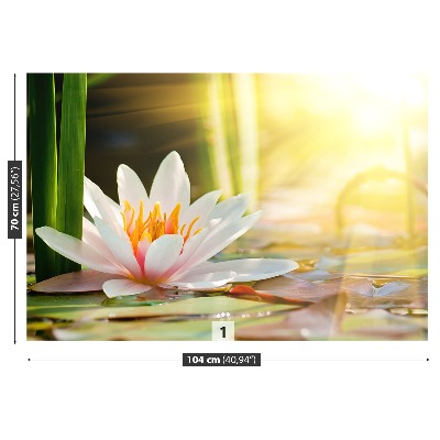 Foto tapet Lotus Pond