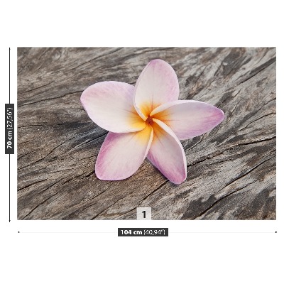 Fotostat Frangipani Wood