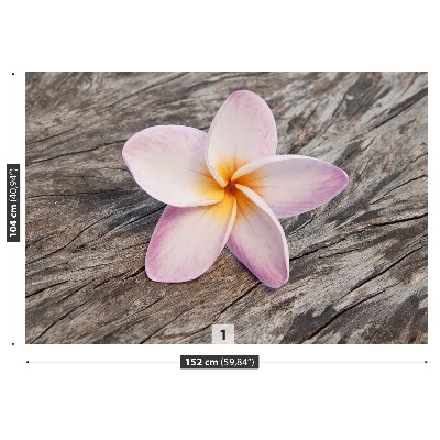 Fotostat Frangipani Wood