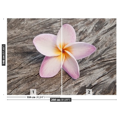 Fotostat Frangipani Wood