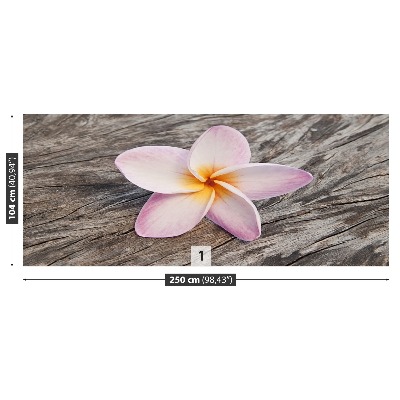 Fotostat Frangipani Wood