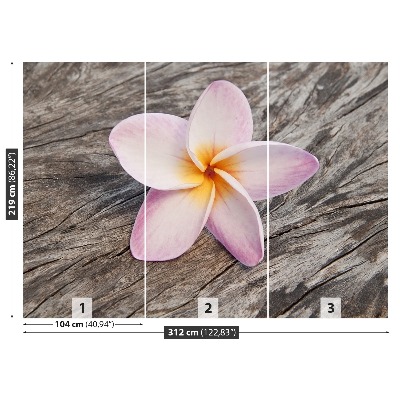 Fotostat Frangipani Wood