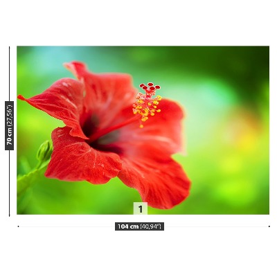 Selvklæbende fototapet Hibiscus Red