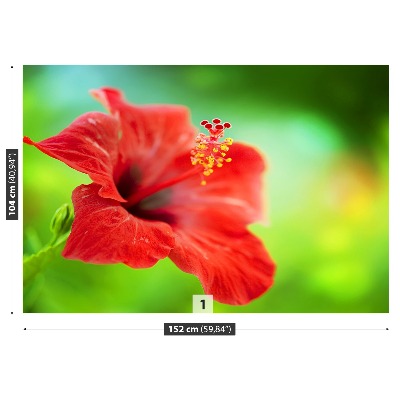 Selvklæbende fototapet Hibiscus Red