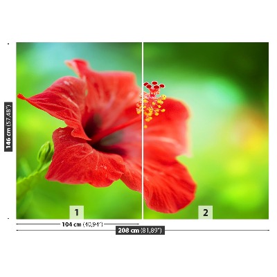 Selvklæbende fototapet Hibiscus Red