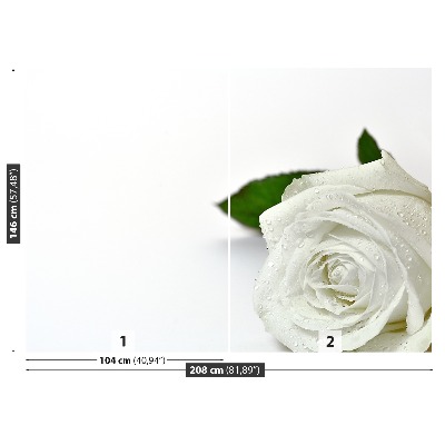 Fototapet Hvid rose