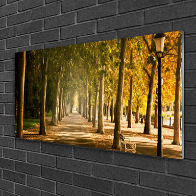 Akrylglas foto Park Alley Landscape