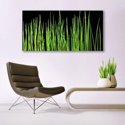 Akryl billede Grass Plant