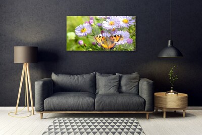 Foto på akrylglas Blomster Sommerfugl Plante Natur