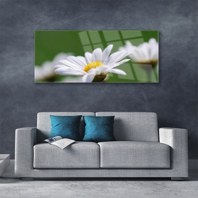 Foto på akrylglas Daisy Wall Art