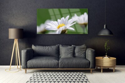 Foto på akrylglas Daisy Wall Art