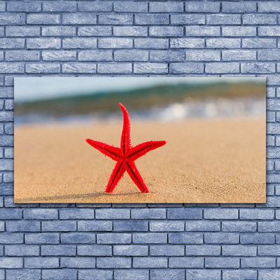 Akrylglas foto Søstjerne-strandkunst