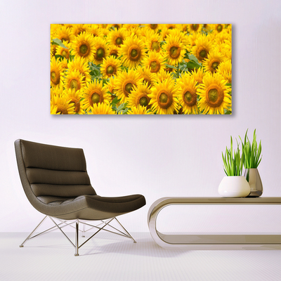 Akryl billede Sunflower Plant Nature