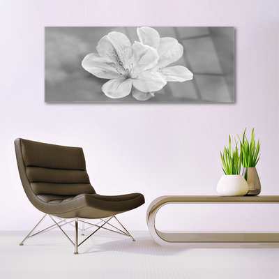 Akrylglas foto Blomster Plante