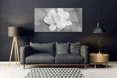 Akrylglas foto Blomster Plante