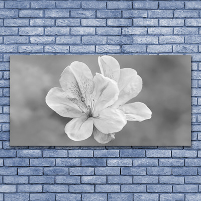 Akrylglas foto Blomster Plante
