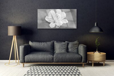 Akrylglas foto Blomster Plante