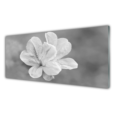 Akrylglas foto Blomster Plante