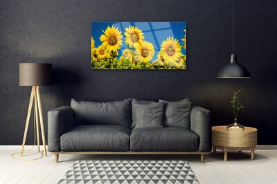 Akrylglas foto Sunflowers Plant